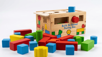 Build an Animal Posting Box
