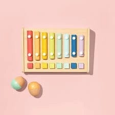 Piano Xylophone & Shaker Set for Kids | Musical Toy Set